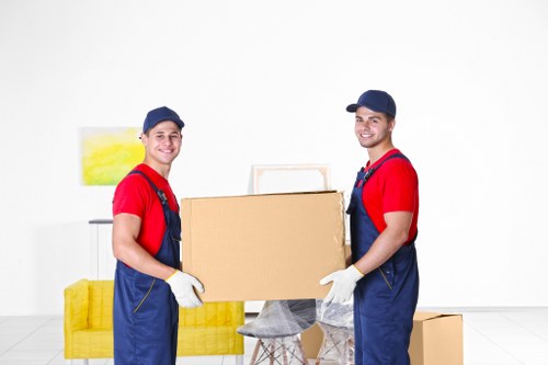 Professional complaint assessment during a van service